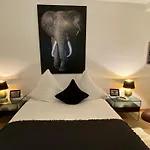 Apartment 900M To Exhibition